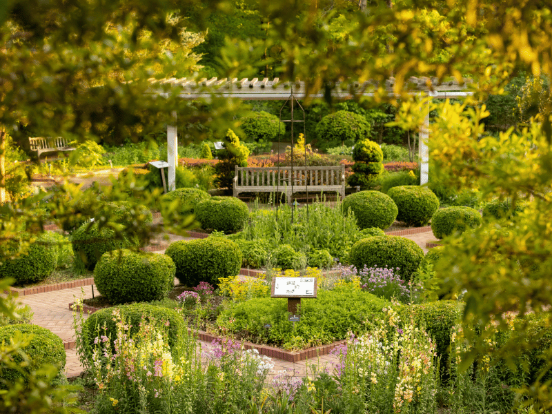 State Botanical Garden of Georgia