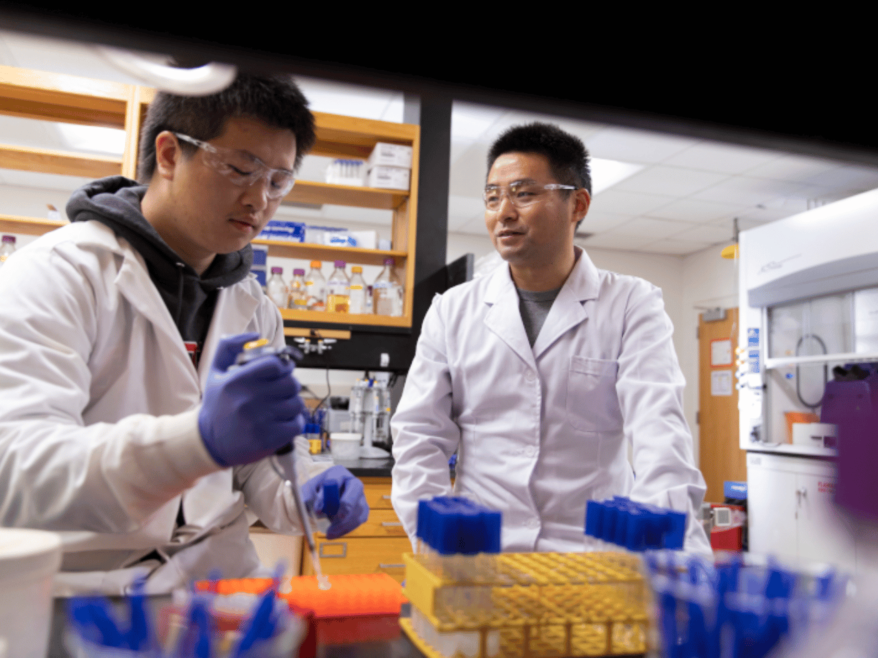 Two researchers work in a lab at UGA.