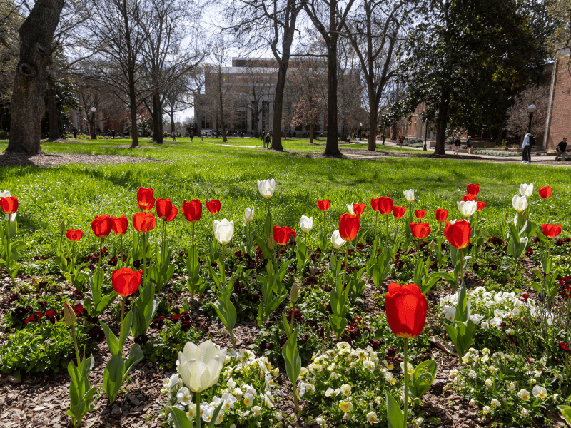 UGA Guidance on Faculty & Staff Providing Public Testimony (Non-Litigation)