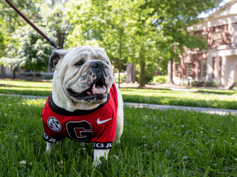 UGA in Our Community