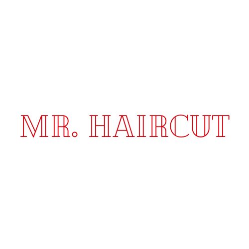 Mr. Haircut